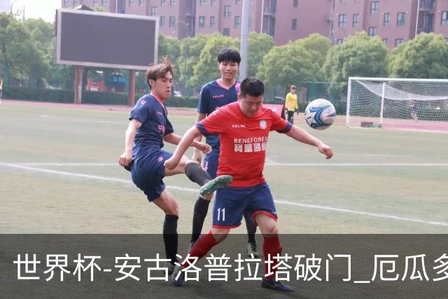 世界杯-安古洛普拉塔破门 厄瓜多尔2-1逆转德国出线