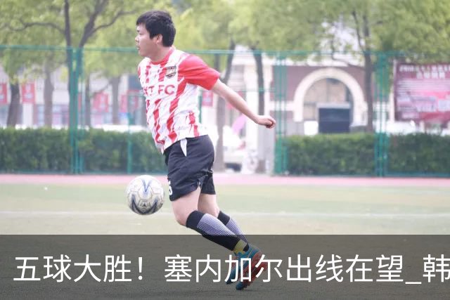 五球大胜！塞内加尔出线在望 韩国晋级仅剩理论希望